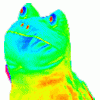 Rainbow Frog.gif