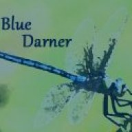 Blue Darner