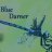 Blue Darner