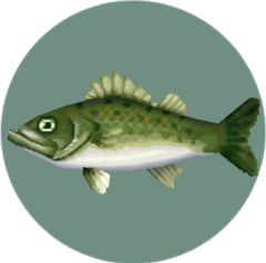 Sea_Bass_(City_Folk).png