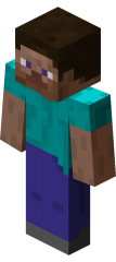 Steve.png