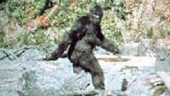 big foot image.jpg