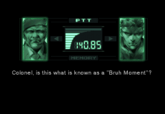 colonel is this whats known as a bruh moment.png