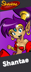Shantae fighters pass card.png