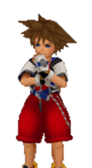 Sora hmmm.png