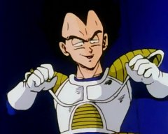 vegeta smug.jpg