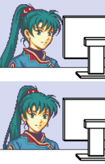 Lyn Computer.png