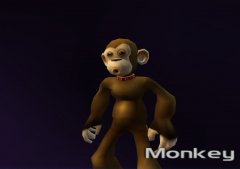 Monkey.jpg