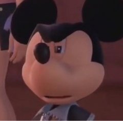 the heck mickey.jpg