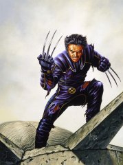 claws_of_the_wolverine_by_joejusko.jpg