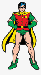 88-881878_robin-dc-hd-png-download.png
