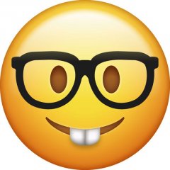 96490b41c31620203288c84a071026c9--emoji-nerd.jpg