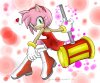 color_me_amy_rose_i_colored_by_sonic1000mph15-d5t2kn3.jpg