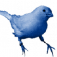 Blue Canary