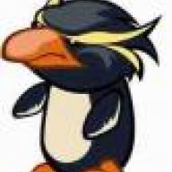 Cynical Penguin