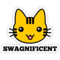 Swagnificent