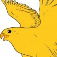 Fabolous Golden Falcon