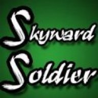 SkywardSoldier