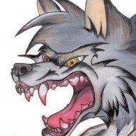 silverwolf689