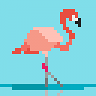 flamingolungs