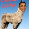 ObamaLlama
