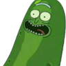 PickleStein