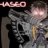Haseo1101