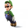 Super Luigi Guide!